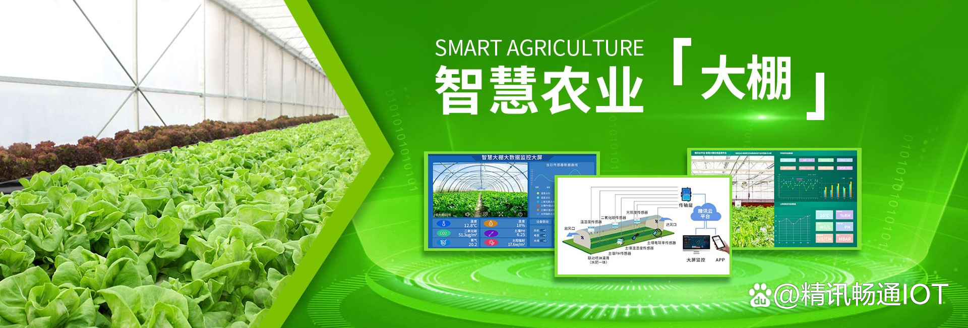 智慧农业 开启现代农业新纪元——智能农业管理