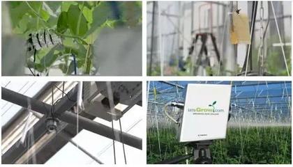 人工智能农业 互联网巨头种黄瓜获奖背后的技术革命