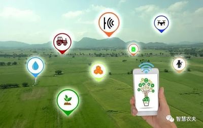 发展智慧农业 实现乡村振兴 智能农业管理的新路径