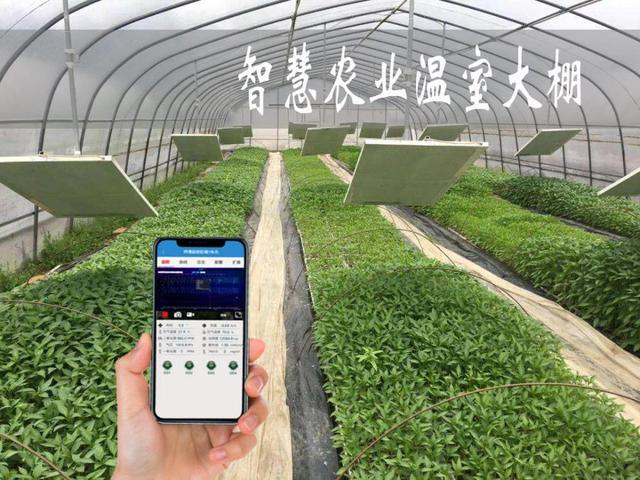 智慧农业解决方案系统概述（二） 农业数字化与智能化升级