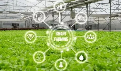 人工智能赋能智慧农业 开启智能管理新篇章