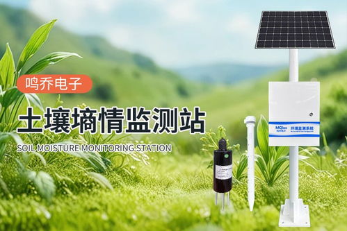 土壤墒情监测系统 农田的“智能听诊器”，赋能高效精准农业