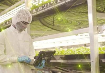 智慧农业新浪潮 2021年全球九大植物工厂动态盘点与智能农业管理趋势