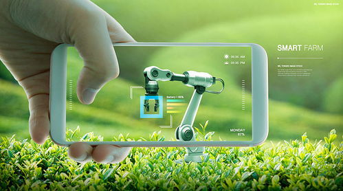 智能农业 未来科技驱动下的远程种植与管理革新
