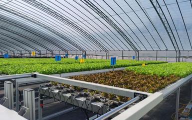 阿里云 智能农业的领航者，高科技助新农人亩产跃升六倍