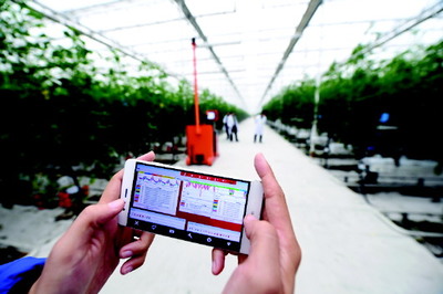 智慧农业造就农业工厂——智能农业管理助力临邑农业现代化