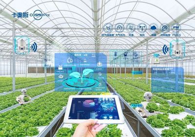 加速农业数字化转型 智能农业管理的实践与未来