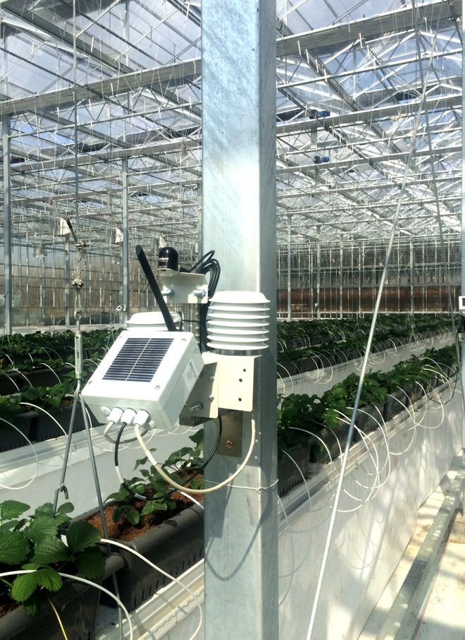 智慧领航 绿意新生——解读最新设施农业智能管理项目建设方案